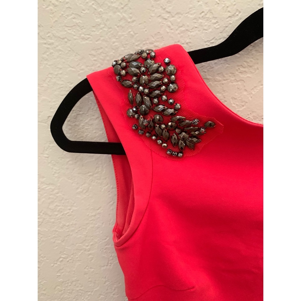 Zara • Trafaluc BodyCon Dress - Picture 2 of 5